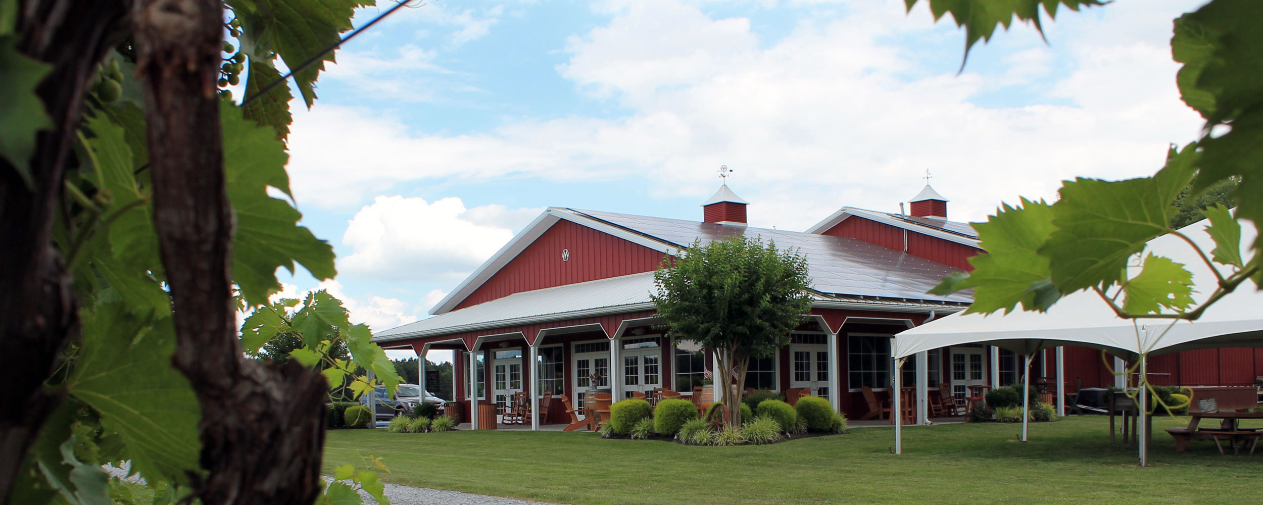 vineyard tours cambridge