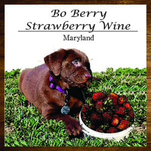 Layton's Chance Vineyard & Winery - Bo Berry Strawberry