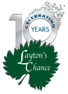 10th Anniversary Logo