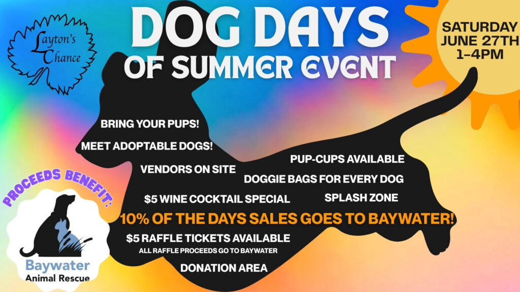 🐾☀️Dog Days of Summer is coming! ☀️🐾